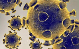 Trung Quốc: Virus SARS-CoV-2 có thể tấn công hệ thần kinh trung ương