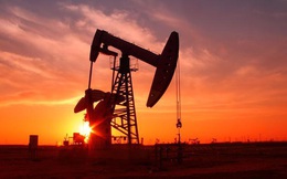 Giá dầu giảm hơn 20% trước nguy cơ chiến tranh về giá giữa Nga và Saudi Arabia