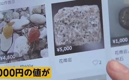 Tranh cướp đá granit ở Nhật, tụ tập ăn lá hẹ ở Nga để "phòng dịch Corona": Đừng để tư duy số đông tác động lý trí, đẩy bạn vào "cửa tử"