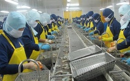 Nhiều doanh nghiệp thủy sản chưa có đơn hàng mới trong quý II và III