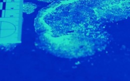 Kế hoạch giết vợ hoàn hảo của gã chồng hai mặt: Động cơ không ngờ