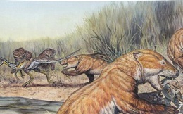 Tại sao không có động vật có vú khổng lồ trong kỷ nguyên khủng long?
