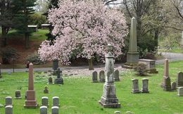 Nhiều người New York tìm đến nghĩa trang để đi dạo, thư giãn trong mùa dịch