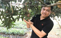 'Cuộc hôn nhân'  giữa 'vương mộc' và 'nữ hoàng các loại hạt'