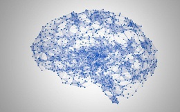 Các nhà khoa học phát triển AI có thể biến hoạt động não thành văn bản