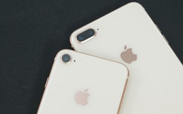 iPhone 8 và iPhone 8 Plus chính thức bị Apple khai tử
