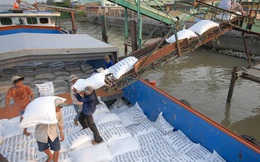 Thủ tướng yêu cầu Bộ Công Thương báo cáo việc xuất khẩu gạo trước ngày 20-4