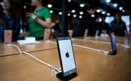 iPhone SE 2020 đang là canh bạc thành công của Apple tại Trung Quốc nhưng tất cả chỉ là tạm thời
