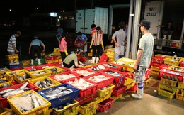 Nữ thương lái chợ Bình Điền bị chích điện, cướp giỏ xách có 121 triệu đồng