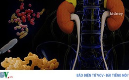 Không nên chủ quan trước các triệu chứng nhiễm trùng đường tiết niệu
