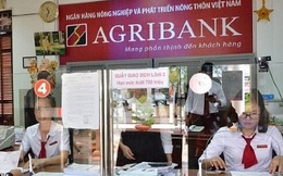 Ủy ban Kinh tế nói gì về việc tăng vốn cho Agribank?