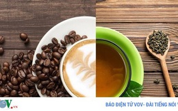 Gene là yếu tố quyết định bạn thích uống trà hay cà phê?