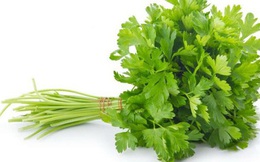 Một số rau gia vị tốt cho não