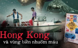 Vùng biển nhuốm máu: Chương sử kinh hoàng với người Hong Kong, nơi có nhiều người bị cá mập cắn chết bậc nhất hành tinh