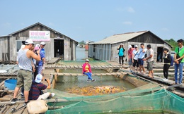 Du lịch ĐBSCL thiệt hại nặng do dịch COVID - 19