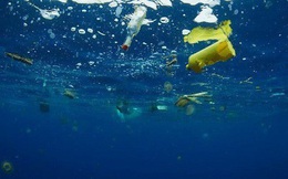 Ô nhiễm vi nhựa đại dương cao hơn ước tính