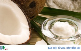 Công dụng và cách chăm sóc da với dầu dừa