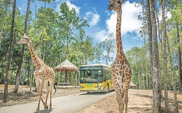 Hà Nội chuẩn bị có Vinpearl Land rộng 80ha tại Gia Lâm kết hợp Safari dưới nước và trên cạn