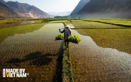 Nói "Việt Nam nuôi cả thế giới" không phải là cường điệu