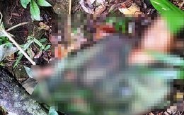 Đi săn khỉ, một thanh niên bị súng cướp cò tử vong tại chỗ