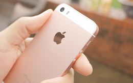iPhone SE đời đầu là hàng hiếm đáng sở hữu trong năm 2020