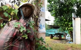 Nông dân Campuchia dùng bù nhìn để ngăn chặn COVID-19