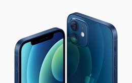 Apple giảm giá iPhone XR và iPhone 11, khai tử iPhone 11 Pro