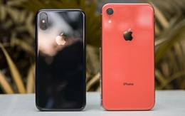 Giá iPhone “tuột dốc không phanh” sau khi iPhone 12 trình làng