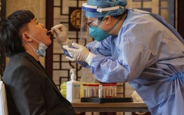 Những "sát thủ" ăn theo Covid-19