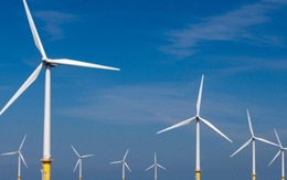 Những nhà đầu tư điện gió hàng đầu Việt Nam