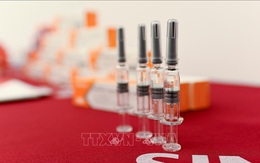 Đâu là những nước đầu tiên nhận được vaccine phòng COVID-19 của WHO?