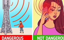 Những sự thật bạn cần biết khi sử dụng smartphone