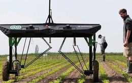Clip: Cận cảnh chú robot AI làm việc như những người nông dân thực thụ