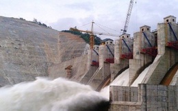 Quảng Trị chuyển đổi đợt 3 hơn 3.300m2 đất rừng giao doanh nghiệp thực hiện Thủy điện La Tó
