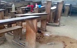 Tấn công trường học ở Cameroon, 6 trẻ nhỏ thiệt mạng