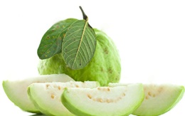 8 tác dụng tuyệt vời với sức khỏe của trái ổi