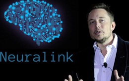 Neuralink của Elon Musk: Đâu là khoa học, đâu là giả tưởng?