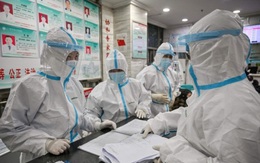 WHO chưa thể cử đội điều tra về nguồn gốc Covid-19 đến Trung Quốc