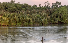 Dự án xây "mỏ lớn nhất lịch sử Papua New Guinea" của công ty thuộc sở hữu TQ bị phản đối vì nguy cơ vỡ đập