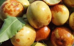 Loại quả Trung Quốc thâm xỉn như quả thối hỏng, về Việt Nam bán vài trăm nghìn đồng/kg