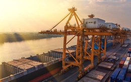 Hai chỉ số này của Việt Nam khôi phục gần bằng trước Covid-19!