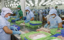 Cá tra Việt Nam chiếm ưu thế ở thị trường Trung Quốc