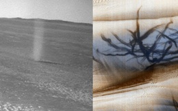 NASA phát hiện loạt vết đen khổng lồ đầy bí ẩn gây ra bởi 'quỷ bụi' trên bề mặt Hỏa Tinh