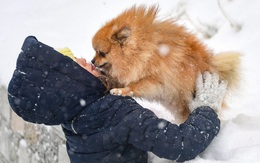 7 ngày qua ảnh: Cô gái Nga chơi đùa với cún cưng dưới mưa tuyết
