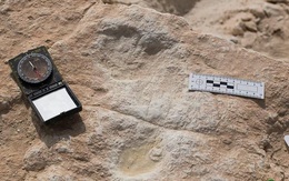Phát hiện dấu chân người 120.000 năm tuổi ở Ả-rập Xê-út