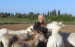 Người phụ nữ Anh chi đến 185 triệu đồng/tháng để giải cứu những con lừa ở... Israel