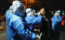 WHO thông báo chuyên gia quốc tế có thể sớm đến Trung Quốc điều tra nguồn gốc dịch COVID-19