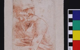 Trên bức tranh trăm năm tuổi của Leonardo da Vinci, người ta phát hiện ra cả một thế giới tí hon độc đáo