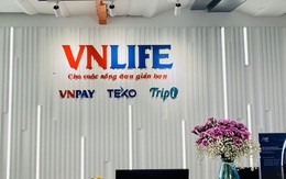 GIC và SoftBank thực tế đã rót bao nhiêu tiền để đưa VNLIFE/VNPAY thành startup được định giá vào loại cao nhất Việt Nam?