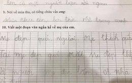 Con trai học lớp 1 viết đoạn văn ngắn tả mẹ mà ai nấy cười sặc sụa bình phẩm: "Mới tí tuổi đầu đã dẻo miệng nịnh nọt"